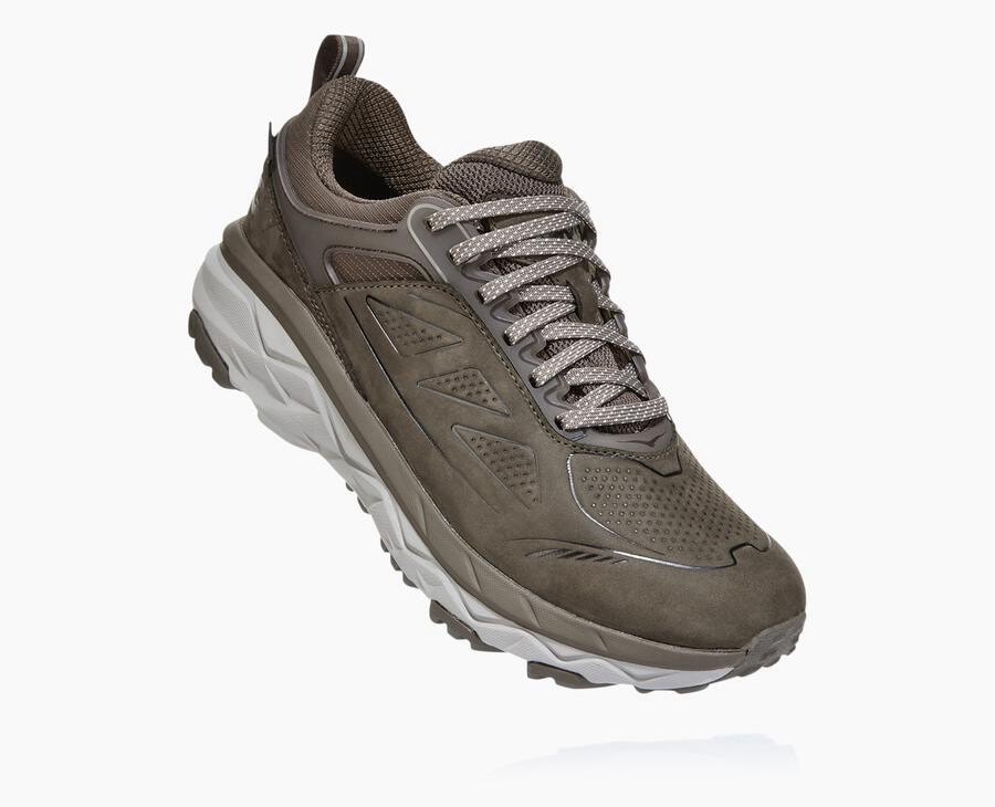 Hoka One One Trailsko Dame - Challenger Lav Gore-Tex - Brune - 439865KUW